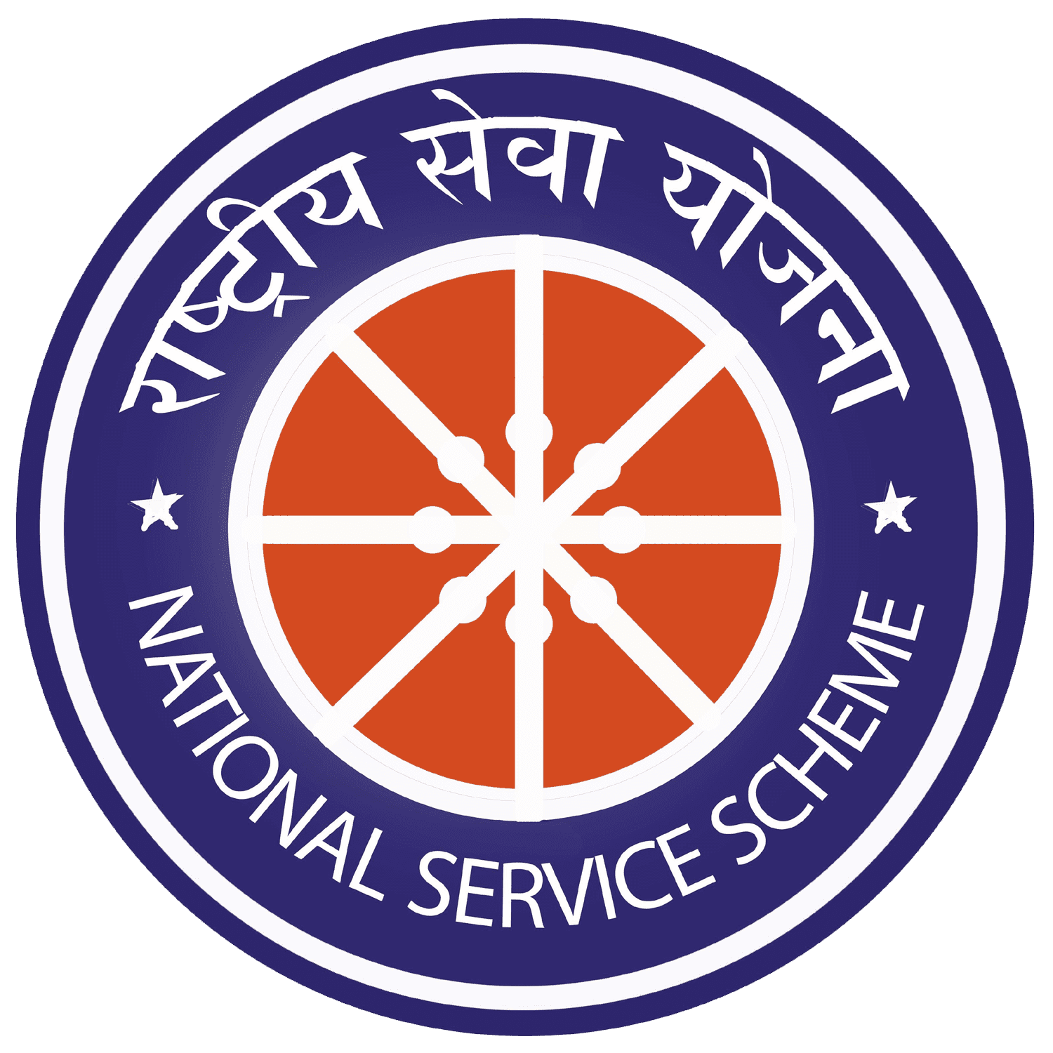 NSS logo
